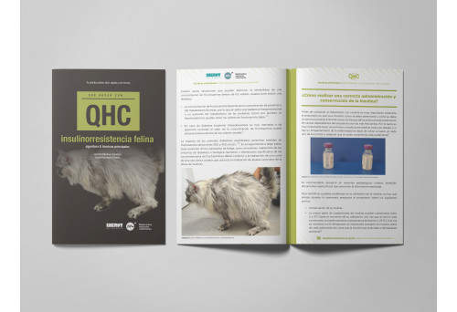Revista QHC Insulinorresistencia felina -Que Hacer Con... veterinaria