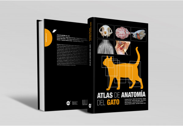 Atlas de anatomía del gato -Libros de referencia veterinaria