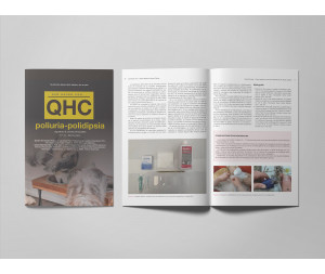 Revista QHC Poliuria-polidipsia