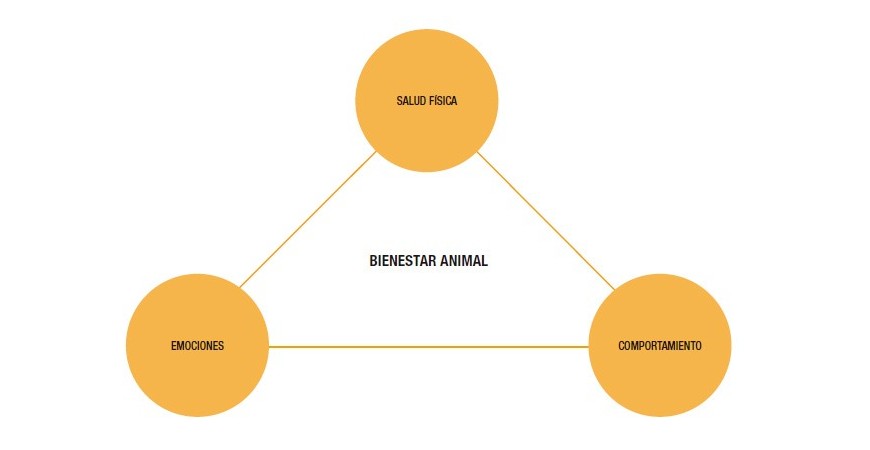 Bienestar Animal